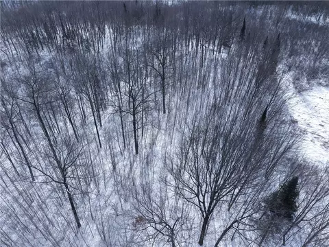 00 155th Ave, Boyd, WI 54726 photo 5