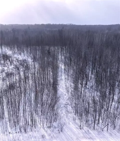 00 155th Ave, Boyd, WI 54726