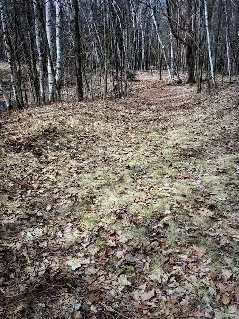 000 Camp Rd, Weyerhaeuser, WI 54895 photo 4