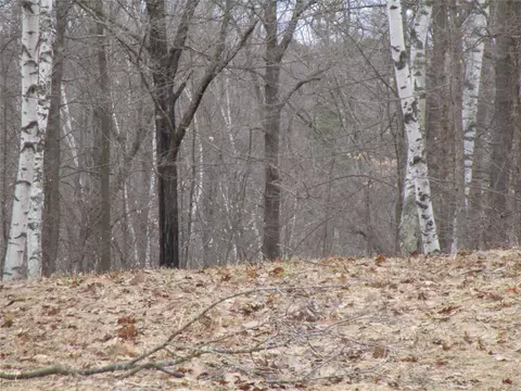 000 Camp Rd, Weyerhaeuser, WI 54895