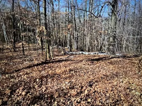 000 Camp Rd, Weyerhaeuser, WI 54895 photo 3