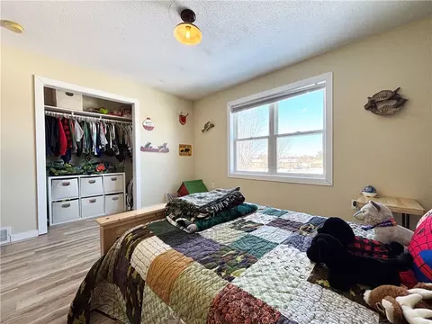 419 Babes Ln, Cameron, WI 54822 photo 21