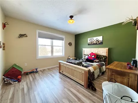 419 Babes Ln, Cameron, WI 54822 photo 20