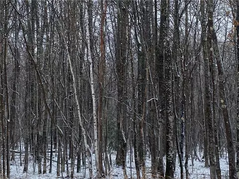 Near Seven Mile Road, Herbster, WI 54844