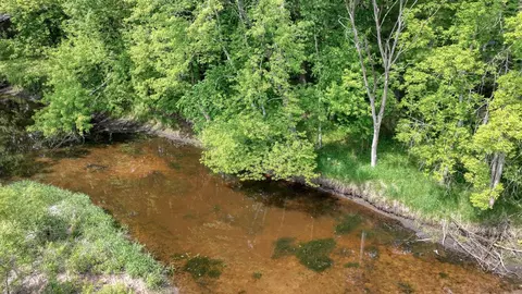 81 Acre On Chippewa Ave, Holcombe, WI 54745 photo 6