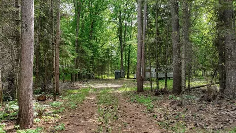 81 Acre On Chippewa Ave, Holcombe, WI 54745