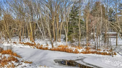 81 Acre On Chippewa Ave, Holcombe, WI 54745 photo 29