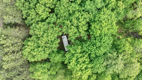 81 Acre On Chippewa Ave, Holcombe, WI 54745 photo 8
