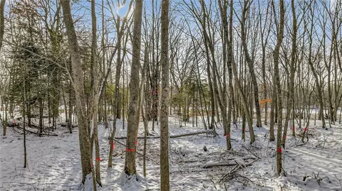 81 Acre On Chippewa Ave, Holcombe, WI 54745 photo 28
