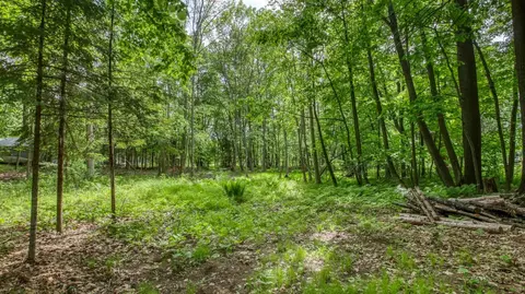 81 Acre On Chippewa Ave, Holcombe, WI 54745 photo 7