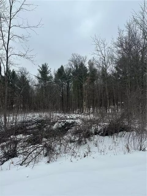 lot20 Betty Ln, Black River Falls, WI 54615