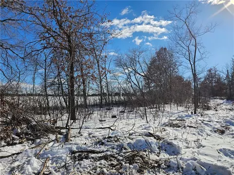 0 County Hwy E, Elk Mound, WI 54739 photo 5