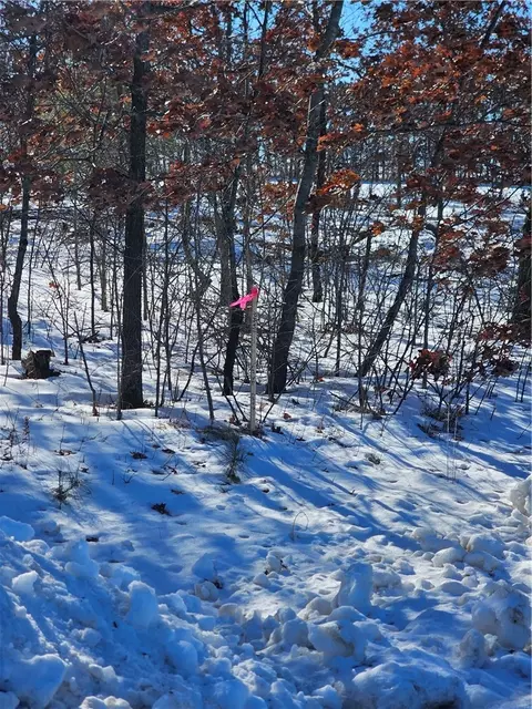 0 County Hwy E, Elk Mound, WI 54739 photo 7