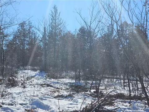 0 County Hwy E, Elk Mound, WI 54739 photo 4