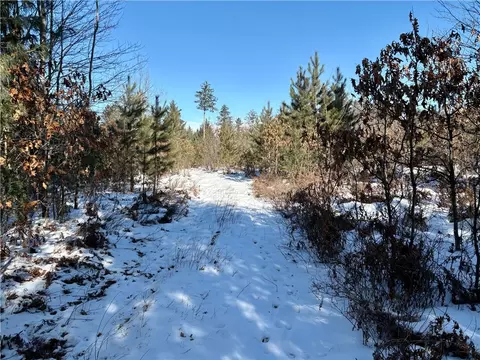 0 Ballard Rd, Pittsville, WI 54456