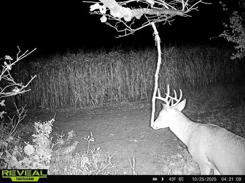 00 270th Ave, Luck, WI 54853 photo 36