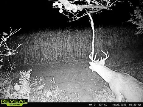 00 270th Ave, Luck, WI 54853 photo 35
