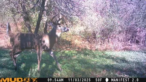 s9025 Lowes Creek Road, Eleva, WI 54738 photo 54