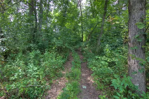 s9025 Lowes Creek Road, Eleva, WI 54738 photo 7