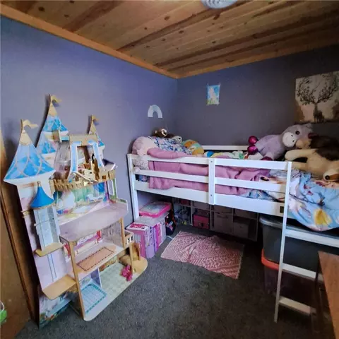 3980 W County Hwy E, Springbrook, WI 54875 photo 20