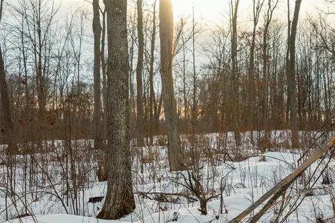 0 Fire Lane Rd, Springbrook, WI 54785 photo 13