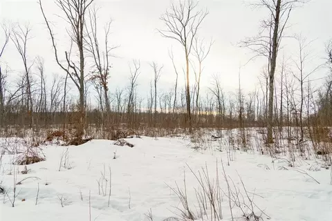0 Fire Lane Rd, Springbrook, WI 54785 photo 9