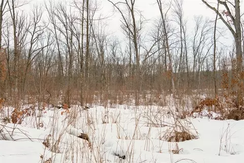 0 Fire Lane Rd, Springbrook, WI 54785 photo 17