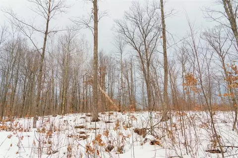 0 Fire Lane Rd, Springbrook, WI 54785 photo 25