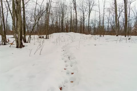 0 Fire Lane Rd, Springbrook, WI 54785 photo 5