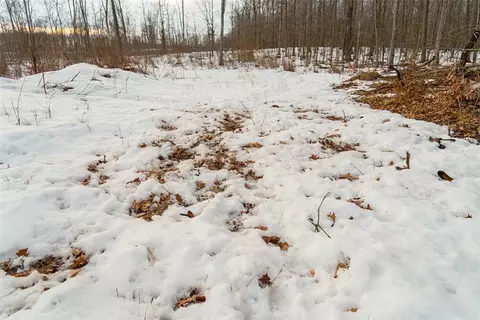 0 Fire Lane Rd, Springbrook, WI 54785 photo 19