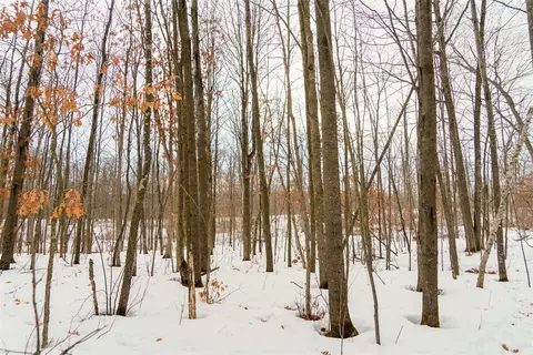 0 Fire Lane Rd, Springbrook, WI 54785 photo 22