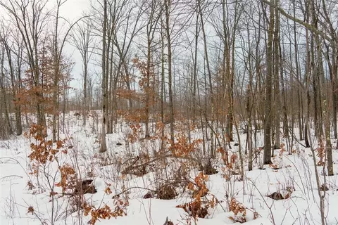 0 Fire Lane Rd, Springbrook, WI 54785 photo 26