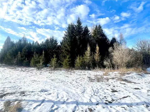 46 67 Acres 630th St, Colfax, WI 54730