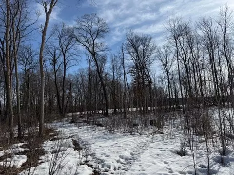 0 Bashaw Trl, Shell Lake, WI 54871 photo 9