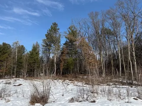 0 Bashaw Trl, Shell Lake, WI 54871 photo 8