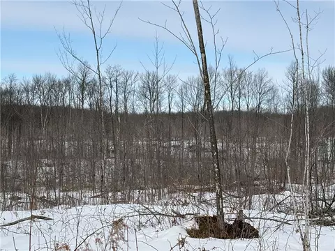 On Forest Drive E, Ogema, WI 54459 photo 4