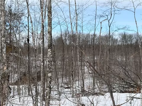 On Forest Drive E, Ogema, WI 54459 photo 5