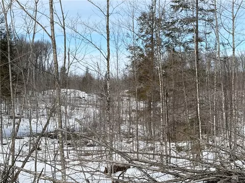 On Forest Drive E, Ogema, WI 54459 photo 7