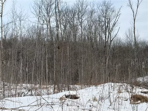 On Forest Drive E, Ogema, WI 54459 photo 6
