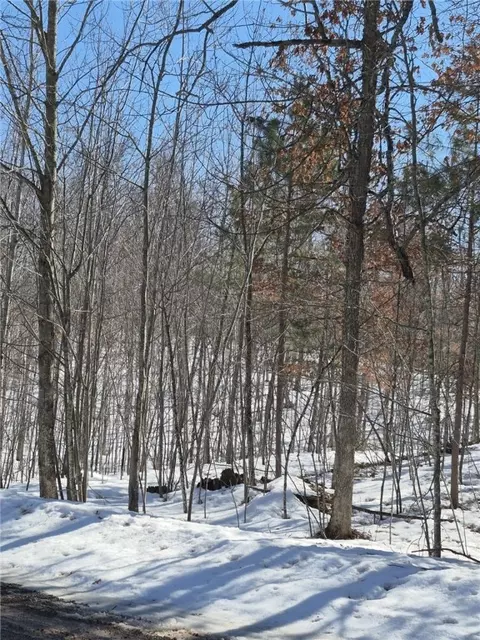lot S 10 11 Wintergreen Trl, Danbury, WI 54830