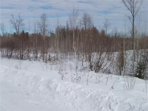40 Acres On County Rd E, Park Falls, WI 54552 photo 2