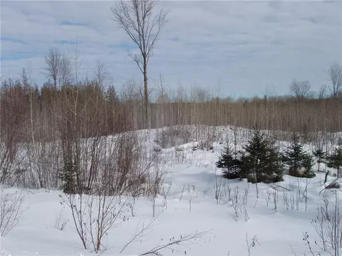 40 Acres On County Rd E, Park Falls, WI 54552
