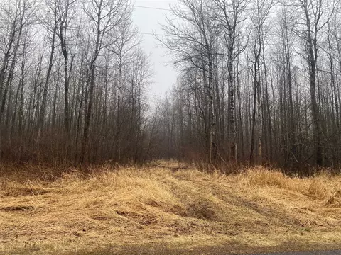 On Cth I, Ogema, WI 54459