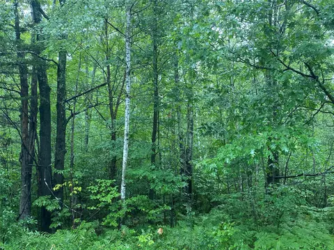 On Pennington Road, Prentice, WI 54556 photo 5