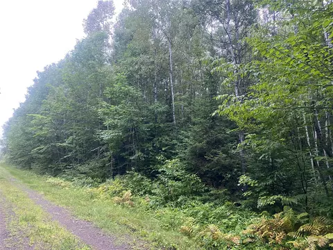 On Doland Road, Loretta, WI 54896 photo 3