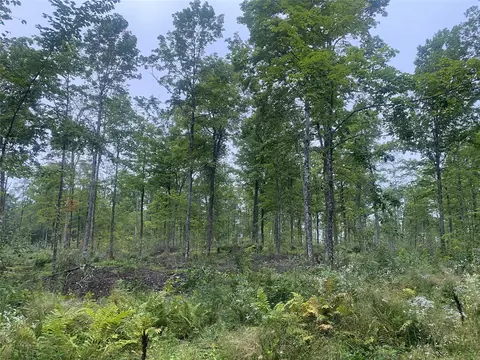 On Doland Road, Loretta, WI 54896 photo 6