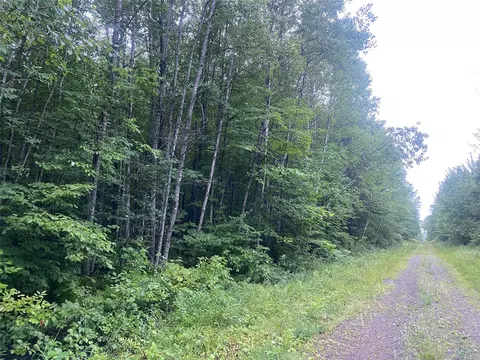 On Doland Road, Loretta, WI 54896 photo 9