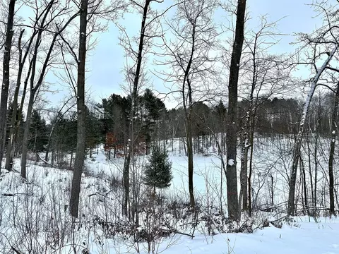 tbd 1388 Acres Antler Lake Dr, Milltown, WI 54858