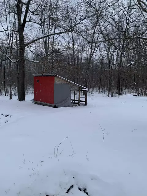 Exterior - n8673 Fire Lane Road, Springbrook, WI 54875 photo 5 of 6