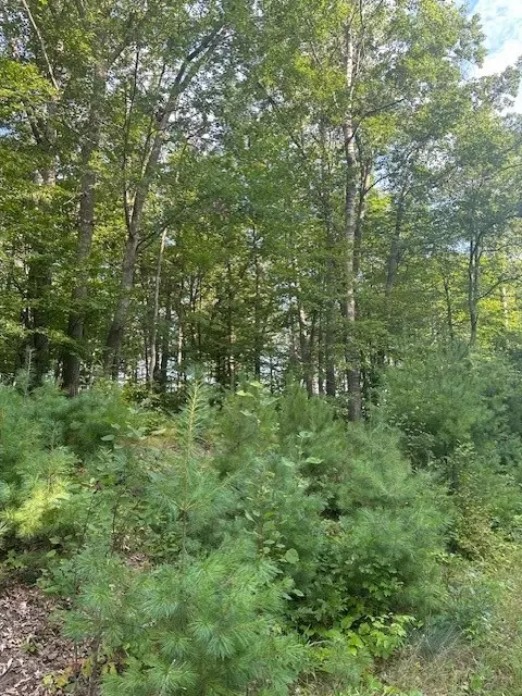 0000 Cesna Ln, Spooner, WI 54801 photo 2